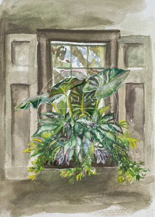 Green Window Box Print