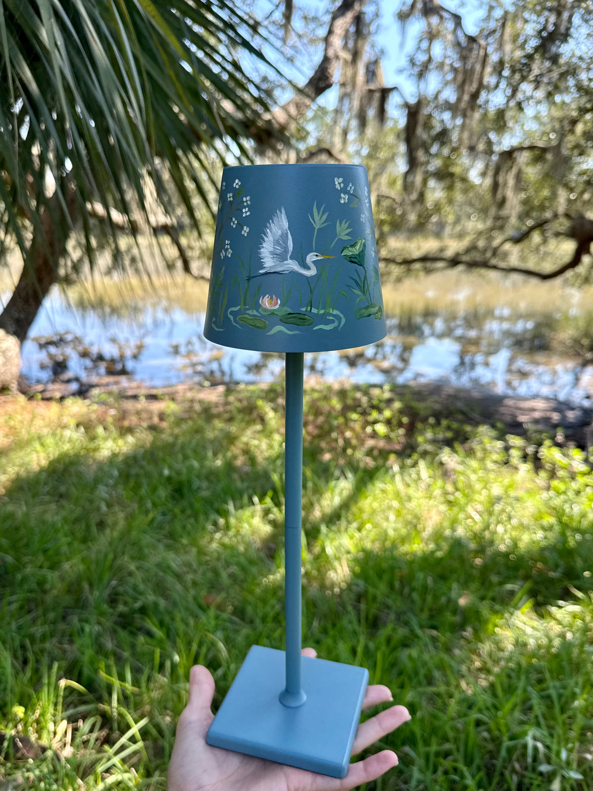 Wetlands