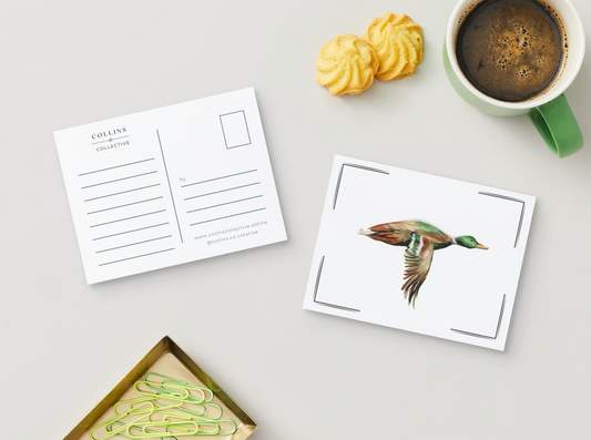 Mallard Postcard