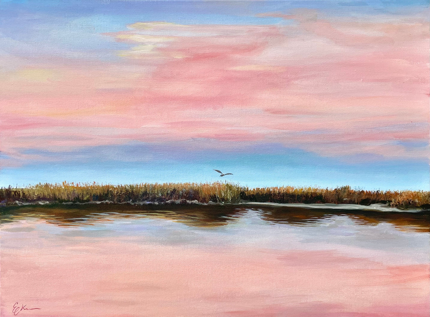 Pink Stork