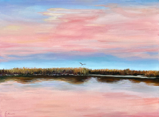 Pink Stork