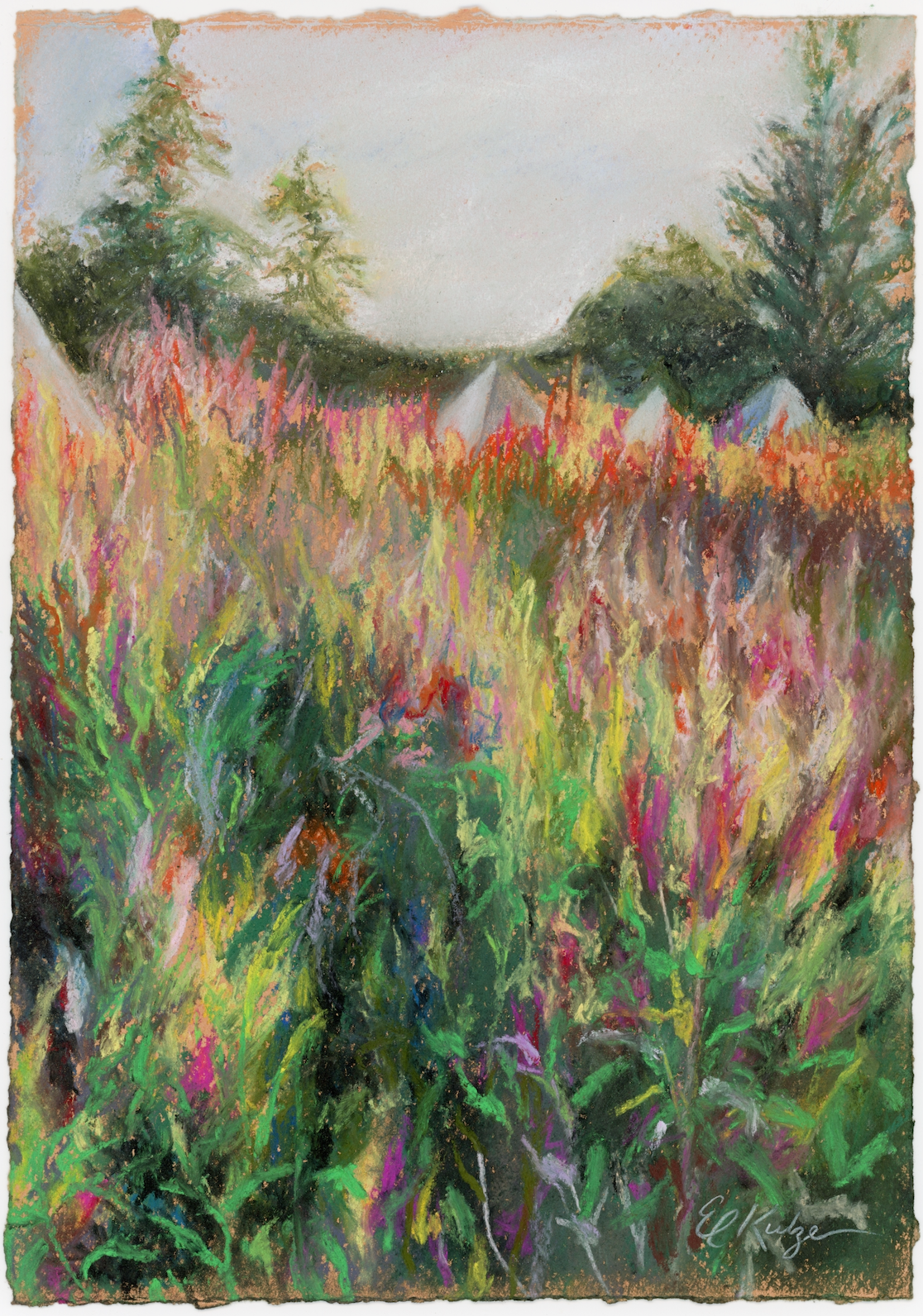 Hope Flower Farms