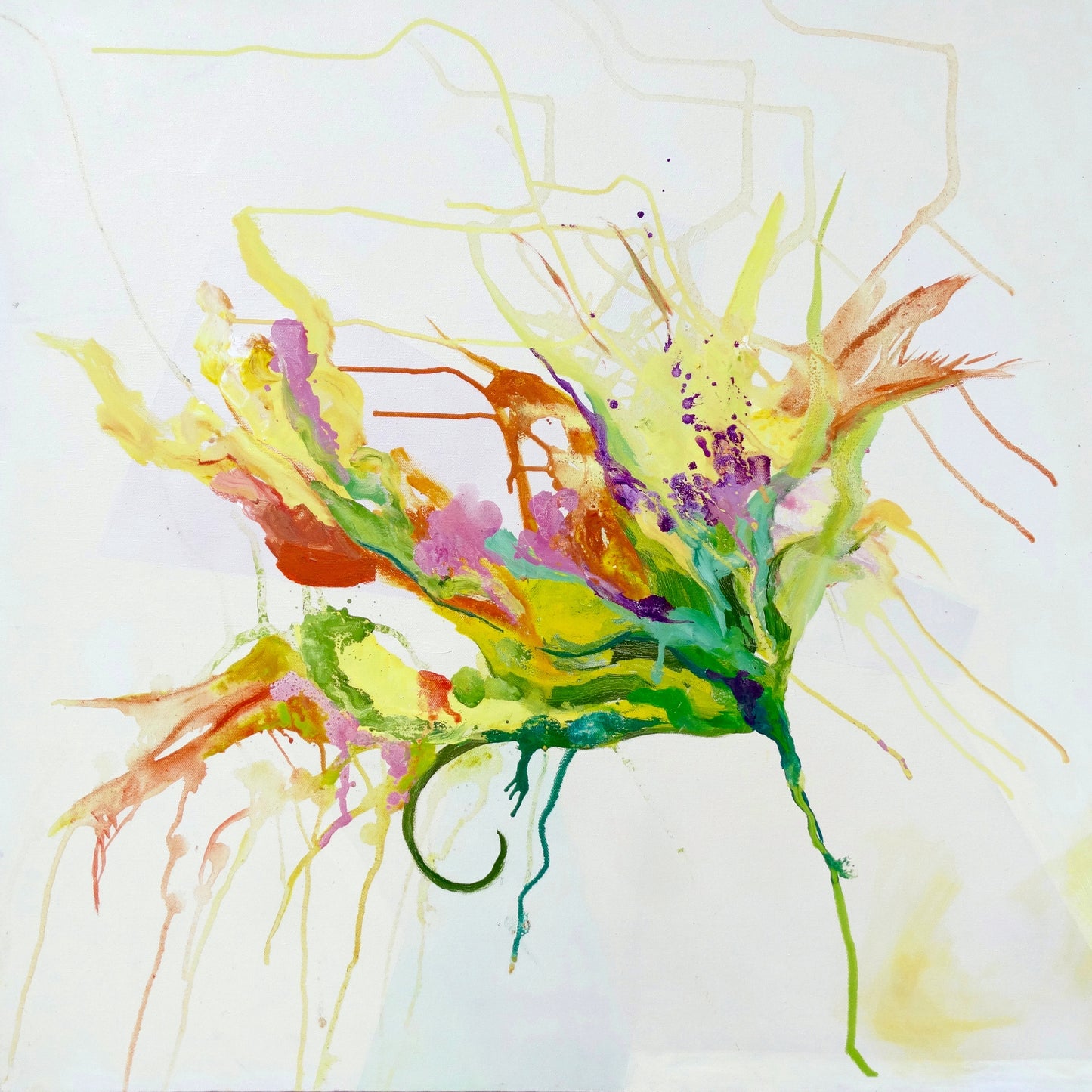 Burst of Bloom