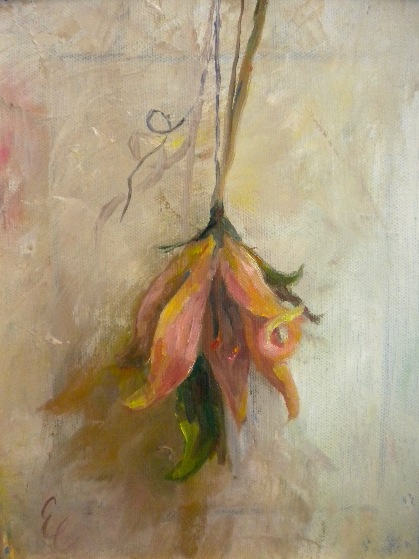 Hanging Lilly