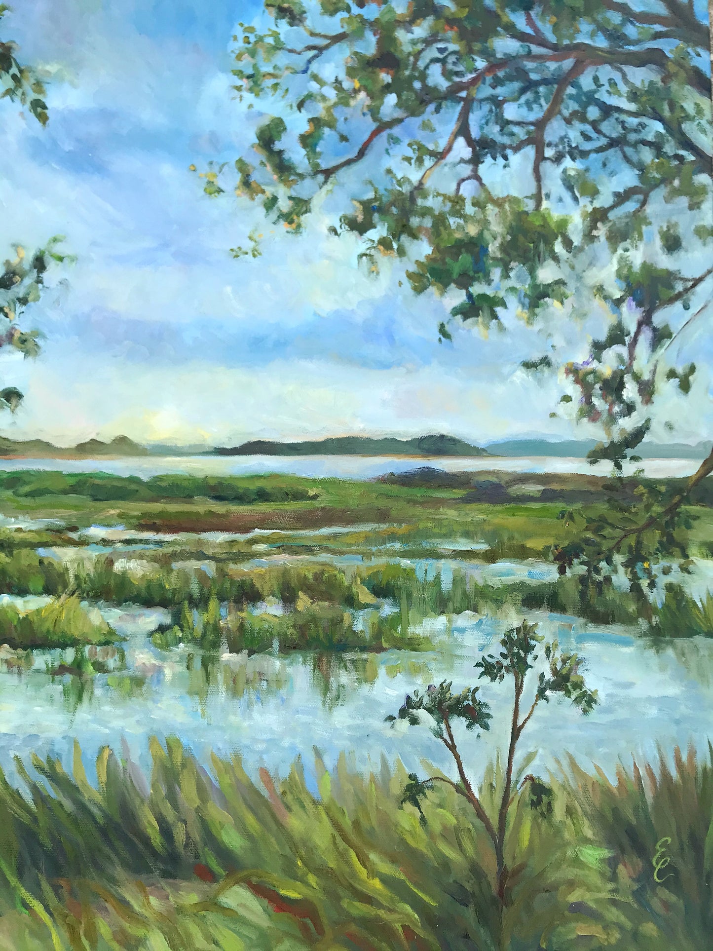 Marsh Walk Meditation