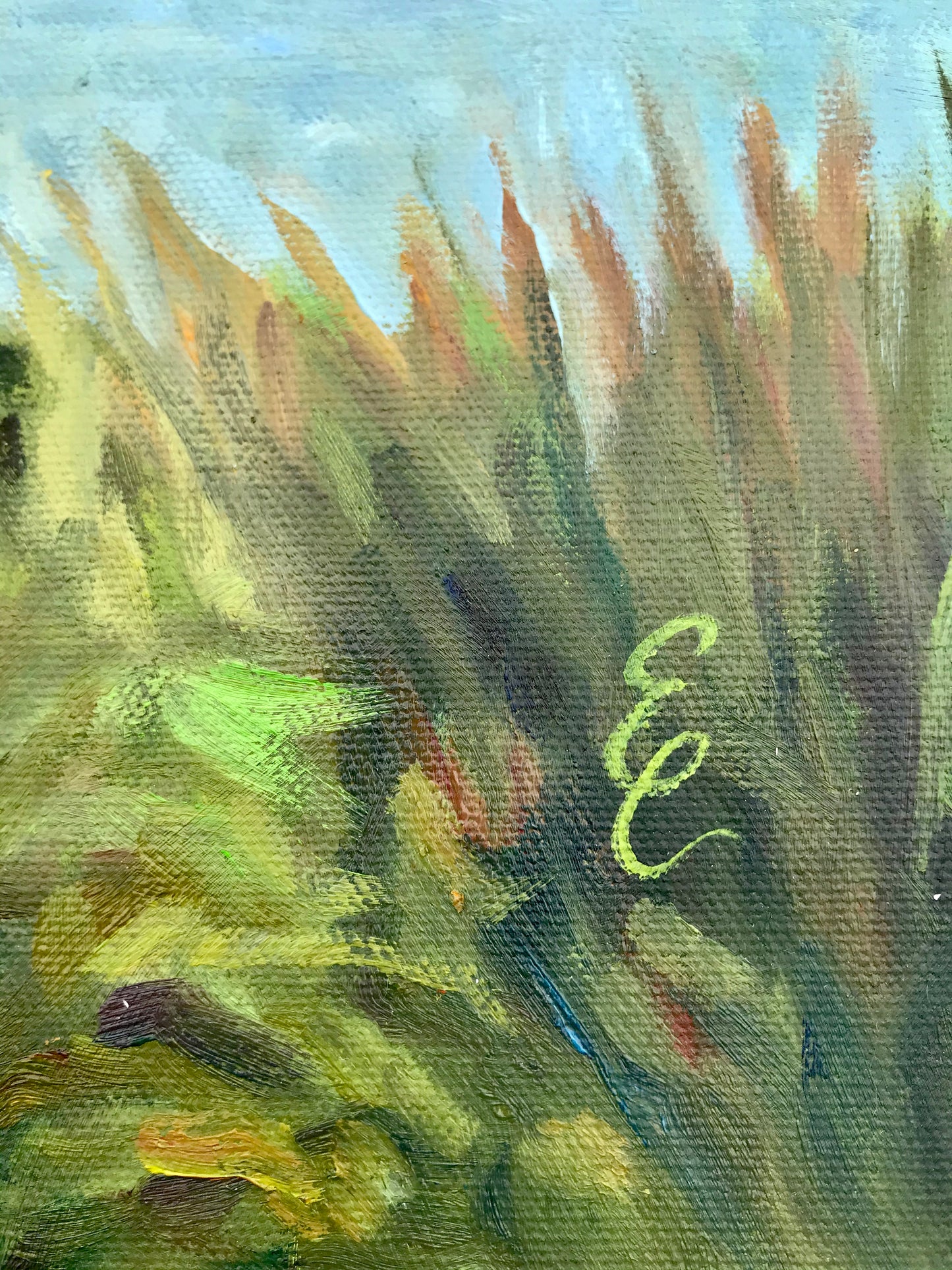 Marsh Walk Meditation