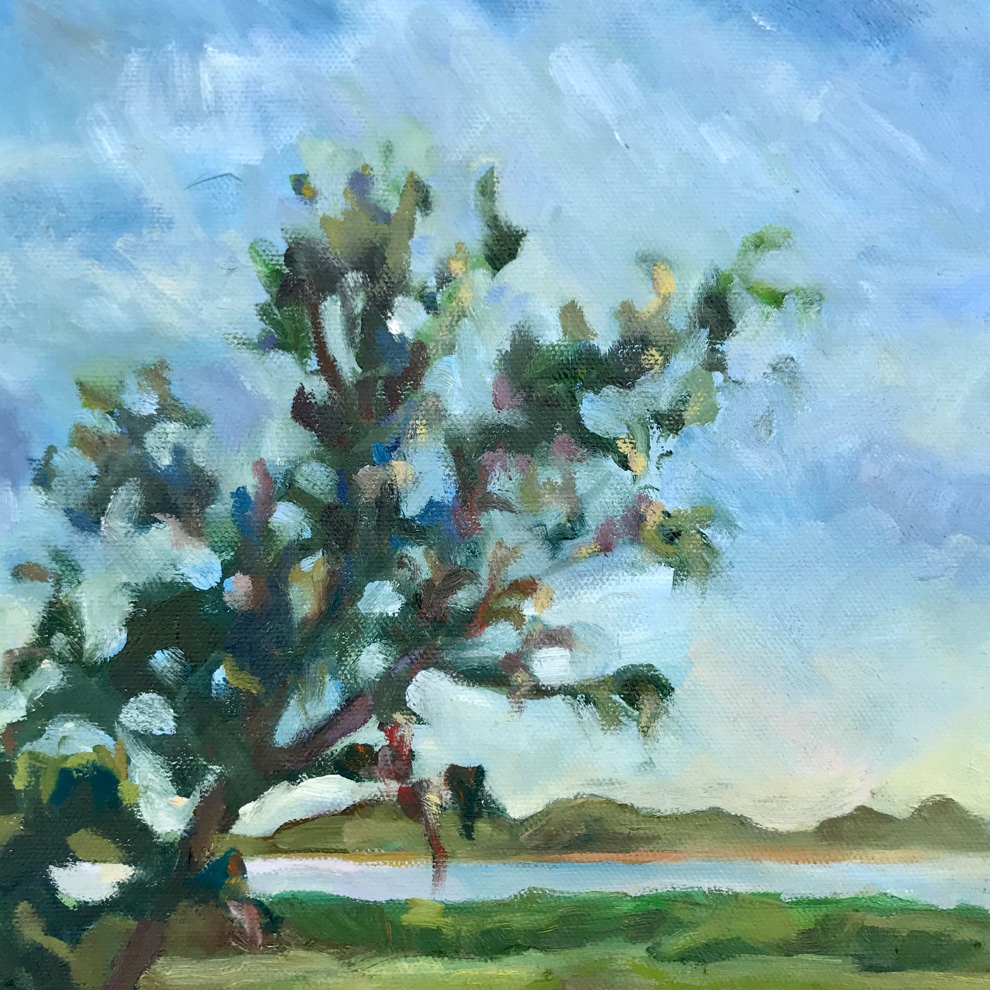 Marsh Walk Meditation