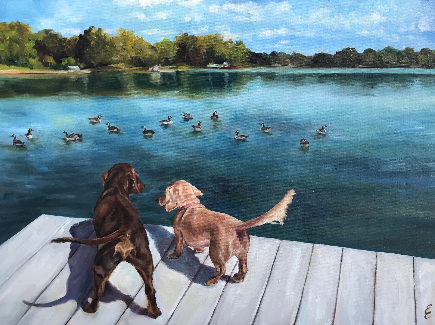 Dock Dogs