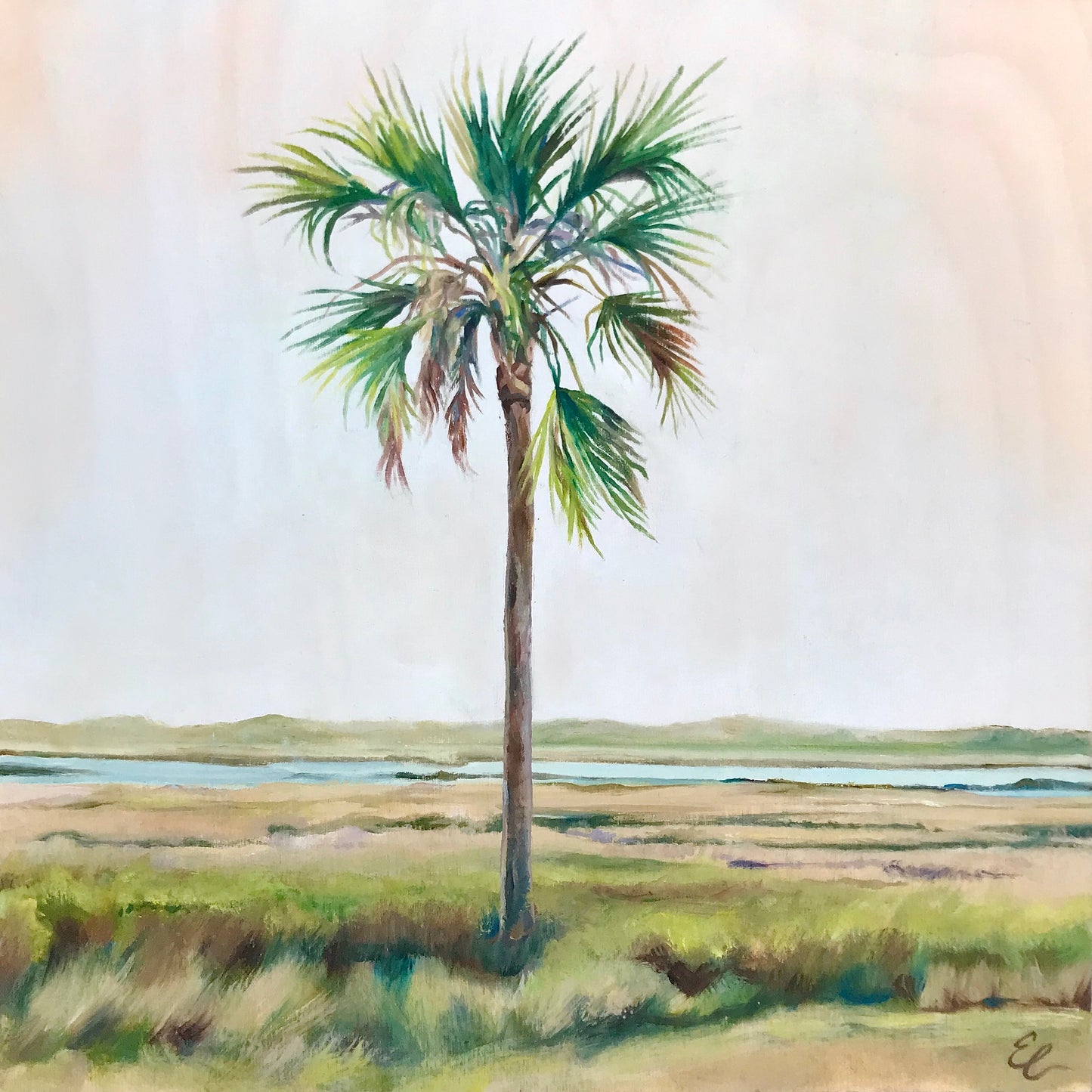 Solo Palm One