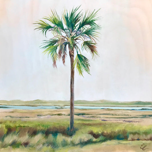 Solo Palm One