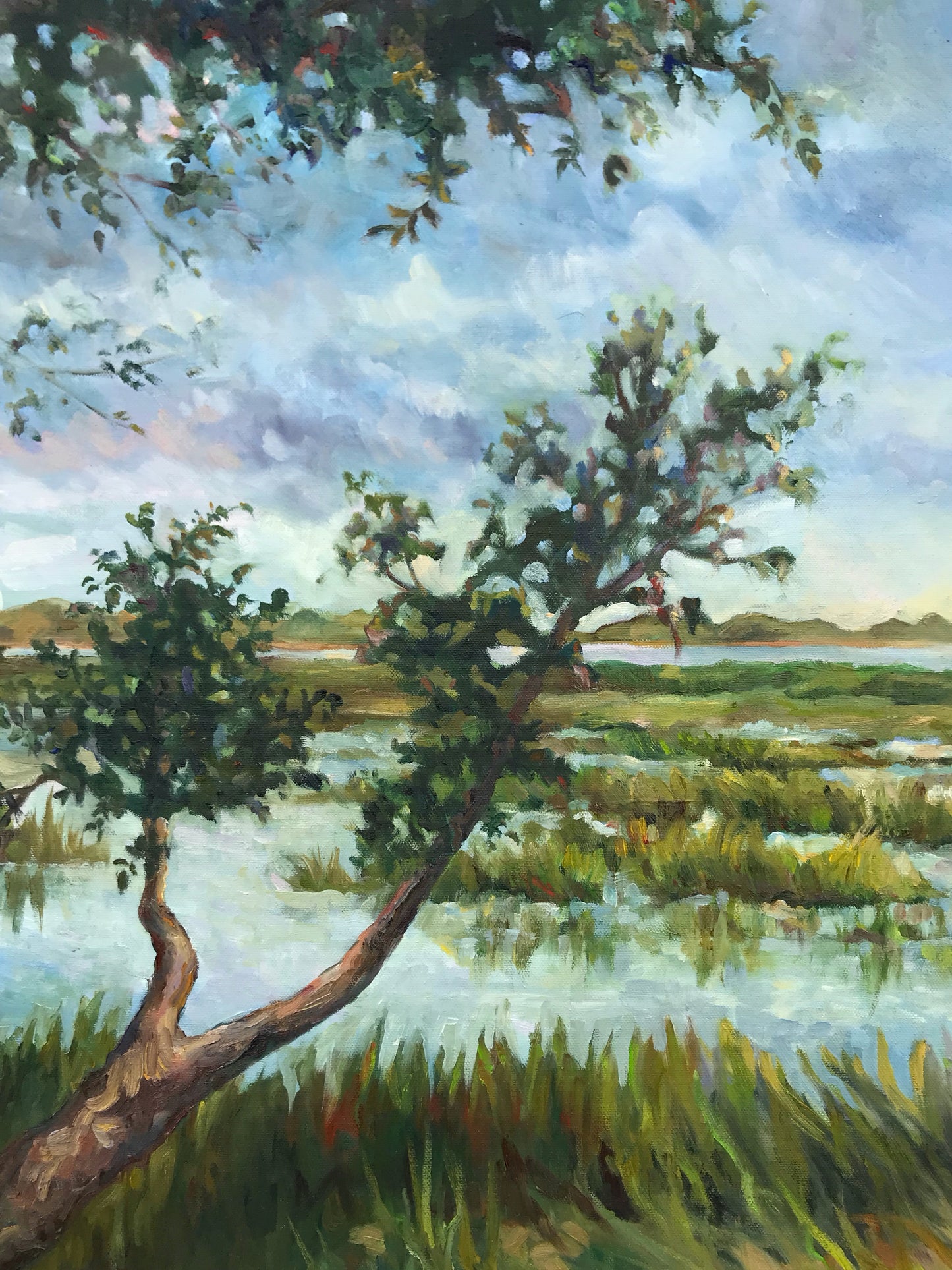 Marsh Walk Meditation