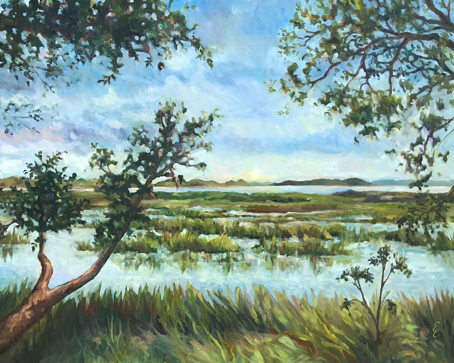 Marsh Walk Meditation