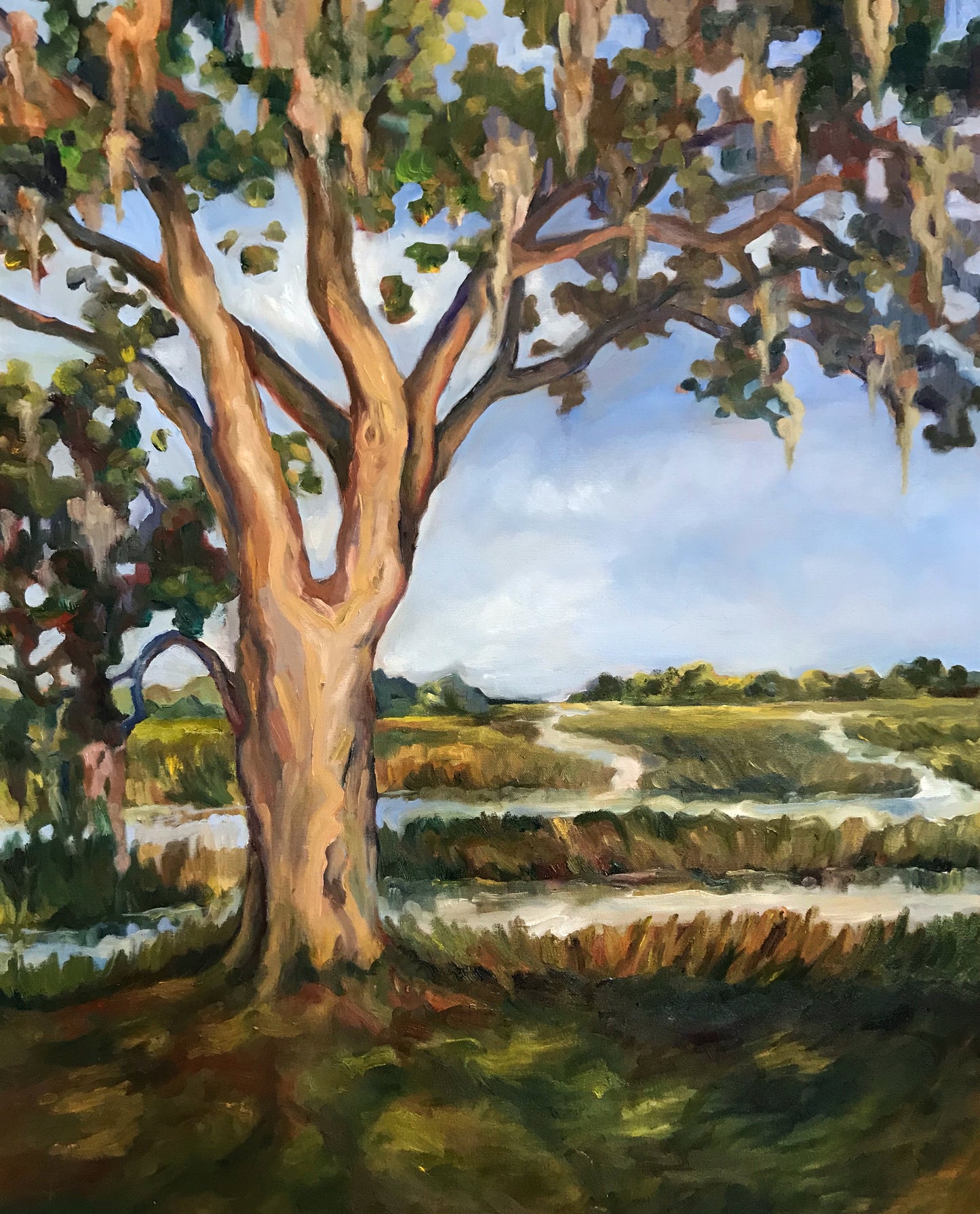 Plum Hill Tree