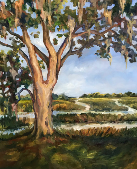 Plum Hill Tree