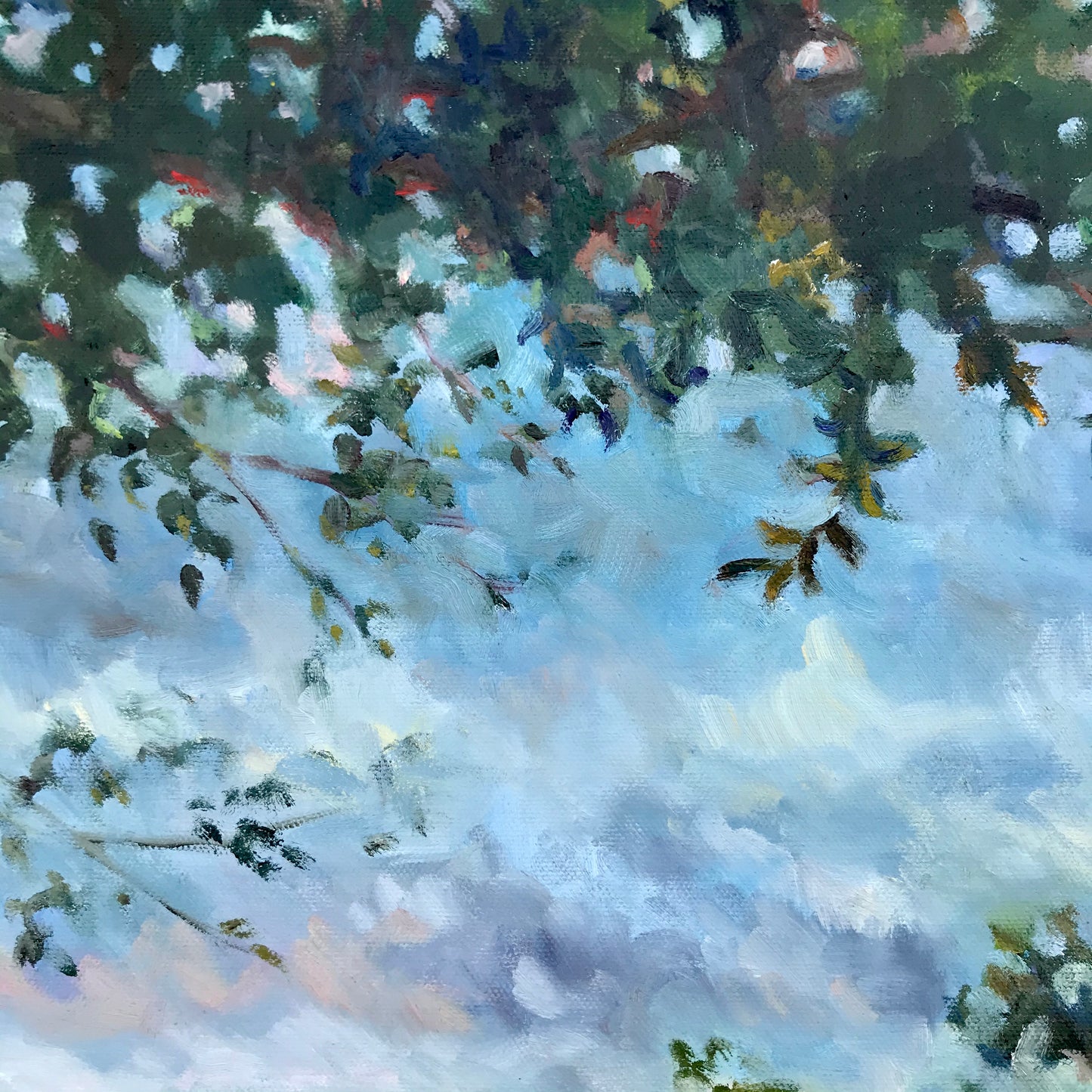 Marsh Walk Meditation