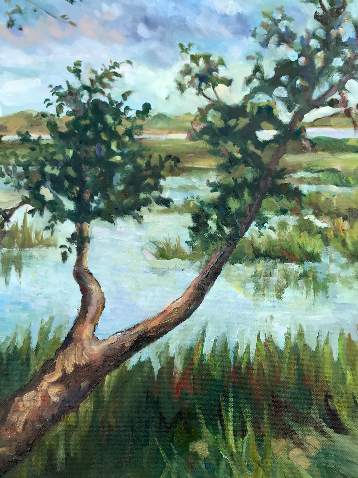 Marsh Walk Meditation