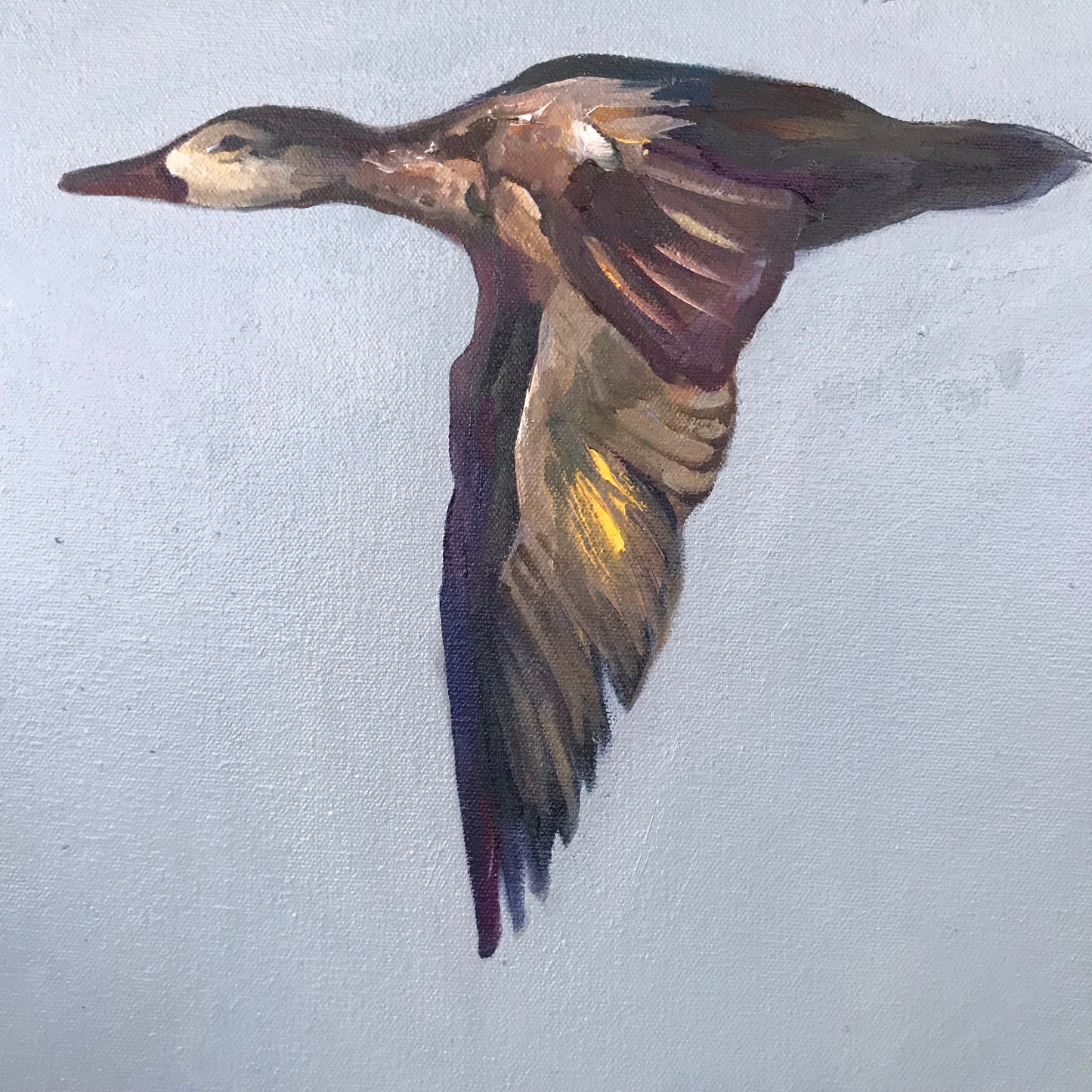 Five in Flight