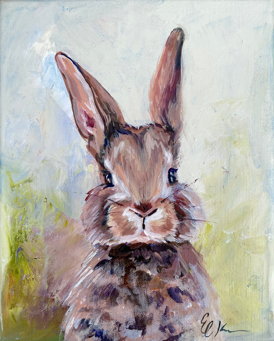 Bunny