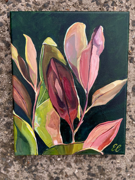 Magnolia