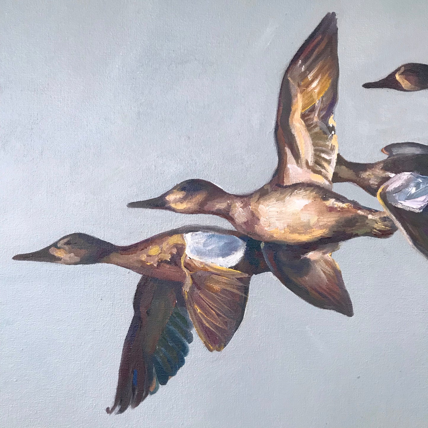 Five in Flight